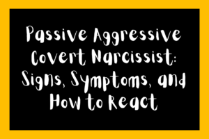 Passive Aggressive Covert Narcissist