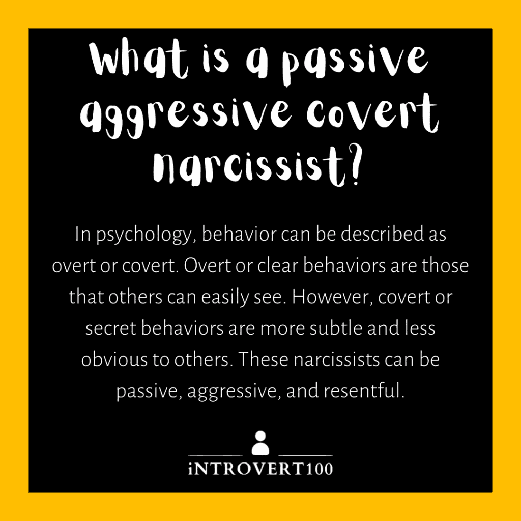 Passive Aggressive Covert Narcissist - What is a passive aggressive covert narcissist? 