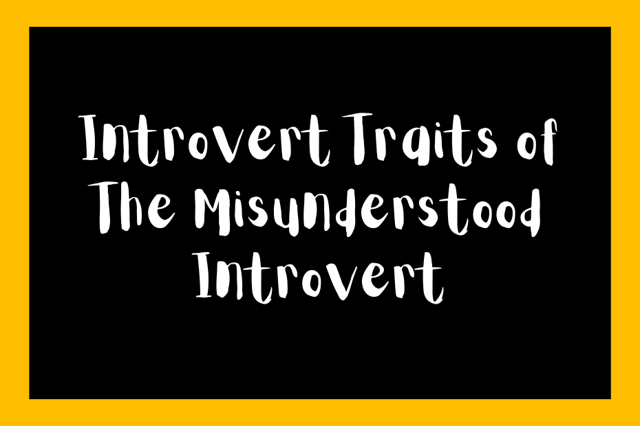 Introvert Traits of The Misunderstood Introvert